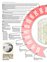 Suplemento 14-04-2012
