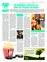 Suplemento 14-05-2011
