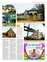 Suplemento 14-05-2011