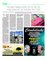 Suplemento 14-05-2016