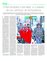 Suplemento 14-05-2016