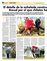 Suplemento 14-07-2013