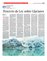 Suplemento 15-03-2015