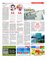 Suplemento 15-05-2016