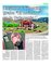 Suplemento 15-08-2015