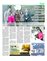 Suplemento 16-05-2015