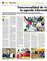 Suplemento 16-06-2013