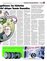 Suplemento 16-06-2013