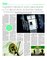 Suplemento 16-07-2016