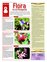 Suplemento 16-10-2010