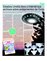 Suplemento 17-01-2015
