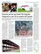 Suplemento 17-02-2016