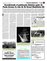 Suplemento 17-03-2013