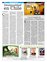 Suplemento 17-04-2011