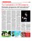 Suplemento 17-04-2016