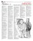 Suplemento 17-08-2014