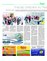 Suplemento 17-10-2015
