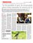 Suplemento 18-01-2015