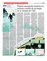 Suplemento 18-01-2015