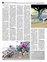 Suplemento 18-03-2012