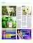 Suplemento 18-07-2015