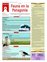 Suplemento 18-09-2010