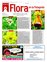 Suplemento 18-12-2010