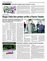 Suplemento 19-02-2014