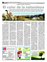 Suplemento 19-06-2011