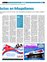 Suplemento 19-09-2010