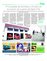 Suplemento 19-09-2015