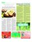 Suplemento 19-09-2015