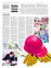 Suplemento 19-11-2011