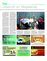 Suplemento 19-12-2015
