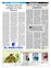 Suplemento 20-02-2011