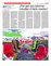 Suplemento 20-03-2016