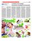 Suplemento 21-02-2016
