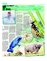 Suplemento 21-03-2015