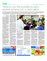 Suplemento 21-05-2016