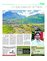 Suplemento 21-05-2016