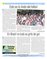 Suplemento 21-06-2014
