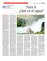 Suplemento 22-03-2015