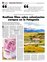 Suplemento 22-04-2012