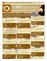 Suplemento 22-06-2013