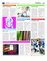 Suplemento 22-10-2016