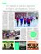 Suplemento 23-07-2016