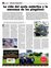 Suplemento 23-12-2012