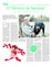 Suplemento 24-01-2015