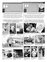 Suplemento 24-04-2011