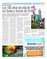 Suplemento 24-05-2014